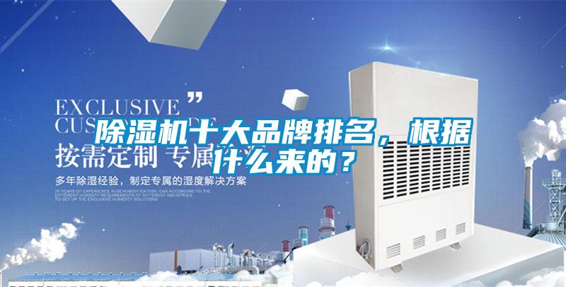 欧美黄色性爱视频网站 除湿机十大品牌排名，根据什么来的？
