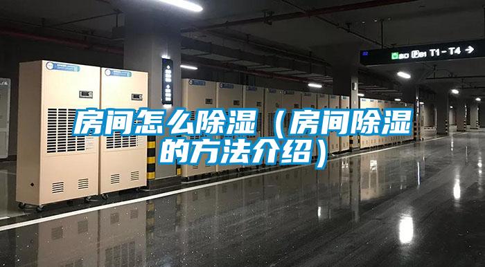 欧美黄色性爱视频网站 房间怎么除湿（房间除湿的方法介绍）