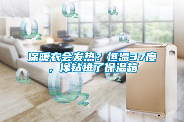 欧美黄色电影在线播放 保暖衣会发热？恒温37度，像钻进了保温箱