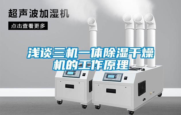 欧美黄色性爱视频网站 浅谈三机一体除湿干燥机的工作原理