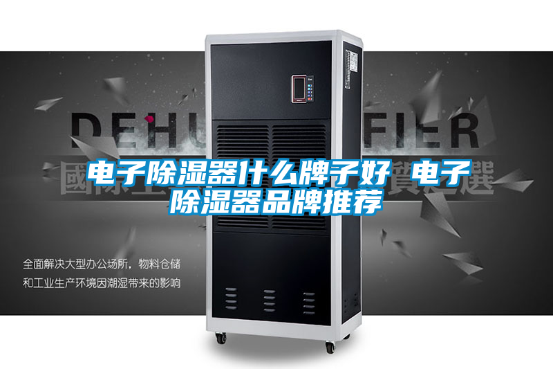 欧美黄色电影在线播放 电子除湿器什么牌子好 电子除湿器品牌推荐
