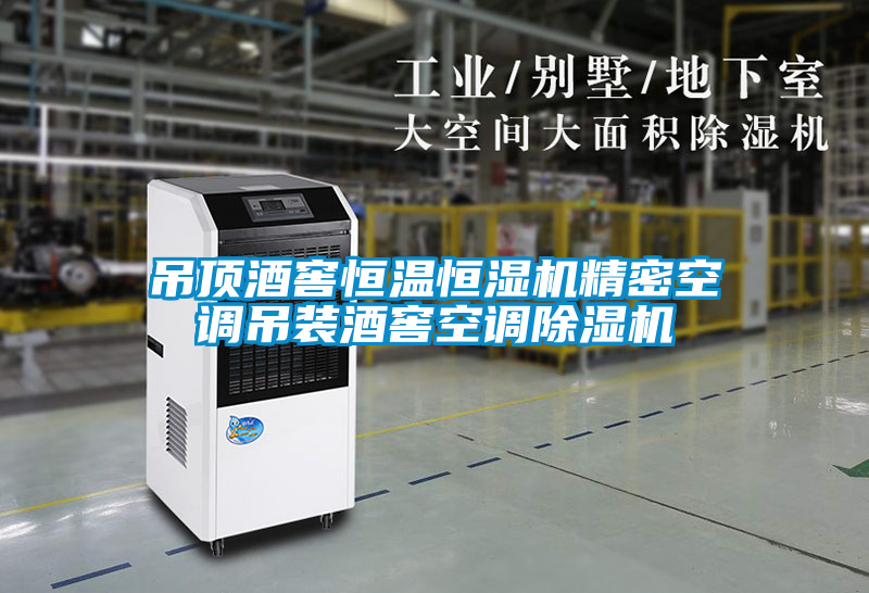 欧美黄色性爱视频网站 吊顶酒窖恒温恒湿机精密空调吊装酒窖空调除湿机