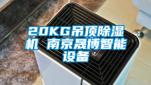 欧美成色手机在线观看 20KG吊顶除湿机 南京晟博智能设备