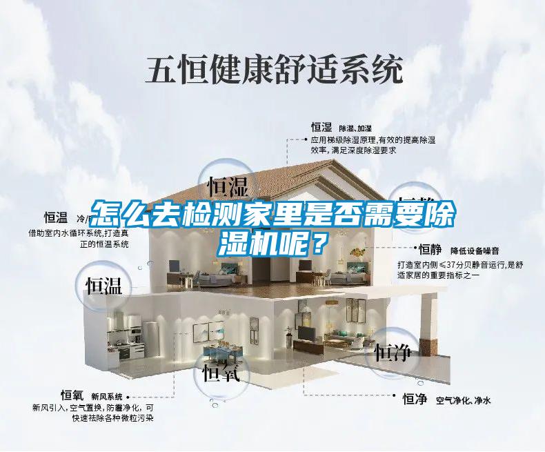 欧美黄色性爱视频网站 怎么去检测家里是否需要除湿机呢？