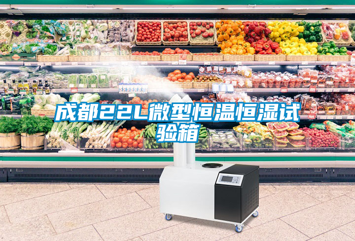 欧美黄色电影在线播放 成都22L微型恒温恒湿试验箱