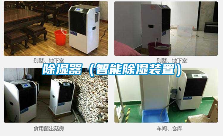 欧美黄色电影在线播放 除湿器（智能除湿装置）