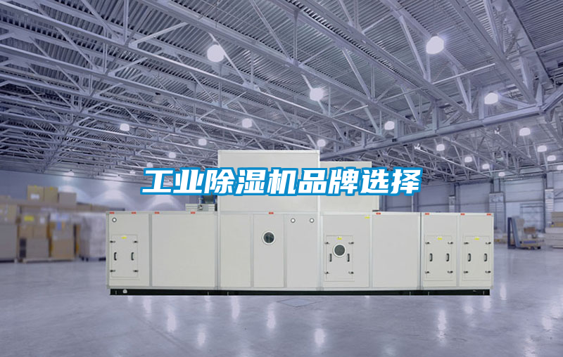 欧美黄色性爱视频网站 工业除湿机品牌选择