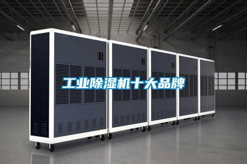 欧美黄色性爱视频网站 工业除湿机十大品牌