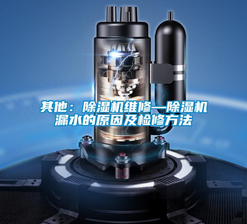 欧美成色手机在线观看 其他：除湿机维修—除湿机漏水的原因及检修方法