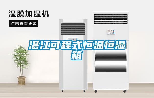 欧美黄色性爱视频网站 湛江可程式恒温恒湿箱