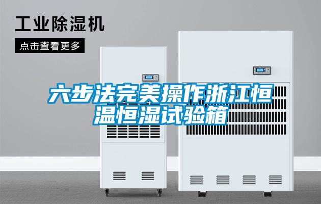 欧美黄色性爱视频网站 六步法完美操作浙江恒温恒湿试验箱