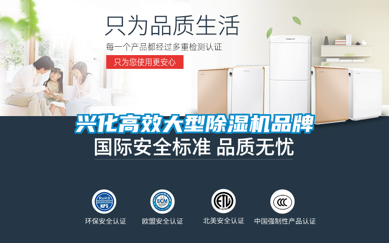 欧美成色手机在线观看 兴化高效大型除湿机品牌