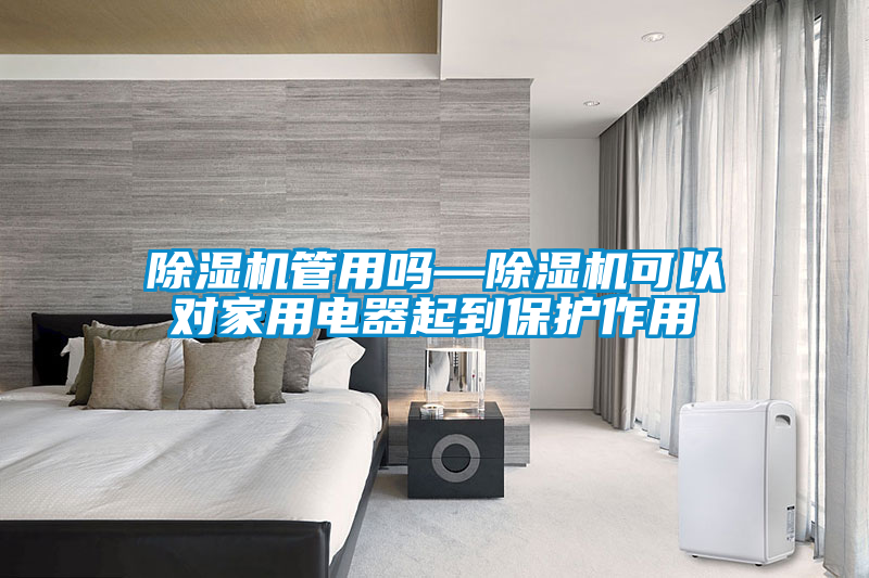 欧美黄色电影在线播放 除湿机管用吗—除湿机可以对家用电器起到保护作用