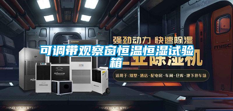 欧美黄色电影在线播放 可调带观察窗恒温恒湿试验箱