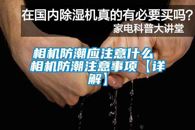 欧美黄色性爱视频网站 相机防潮应注意什么 相机防潮注意事项【详解】