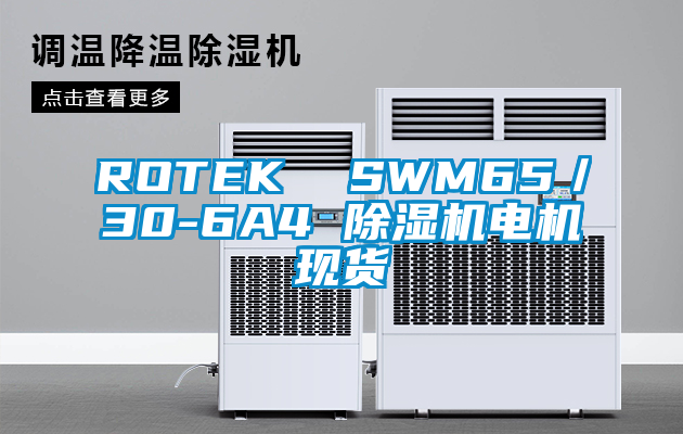 欧美黄色电影在线播放 ROTEK  SWM65／30-6A4 除湿机电机现货