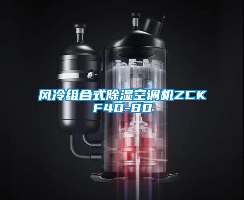 欧美黄色性爱视频网站 风冷组合式除湿空调机ZCKF40-80