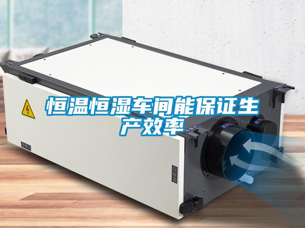 欧美黄色电影在线播放 恒温恒湿车间能保证生产效率