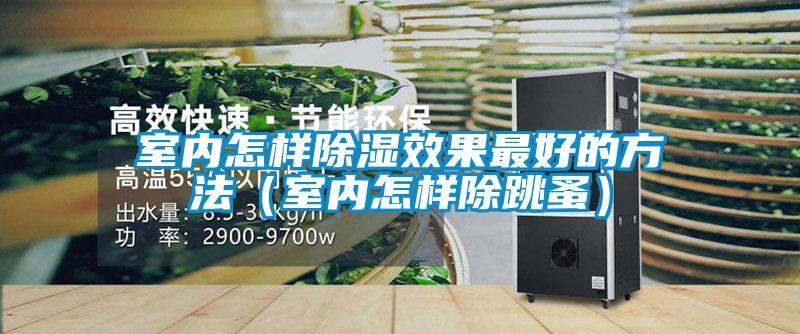 欧美成色手机在线观看 室内怎样除湿效果最好的方法（室内怎样除跳蚤）