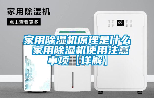 欧美黄色性爱视频网站 家用除湿机原理是什么 家用除湿机使用注意事项【详解】