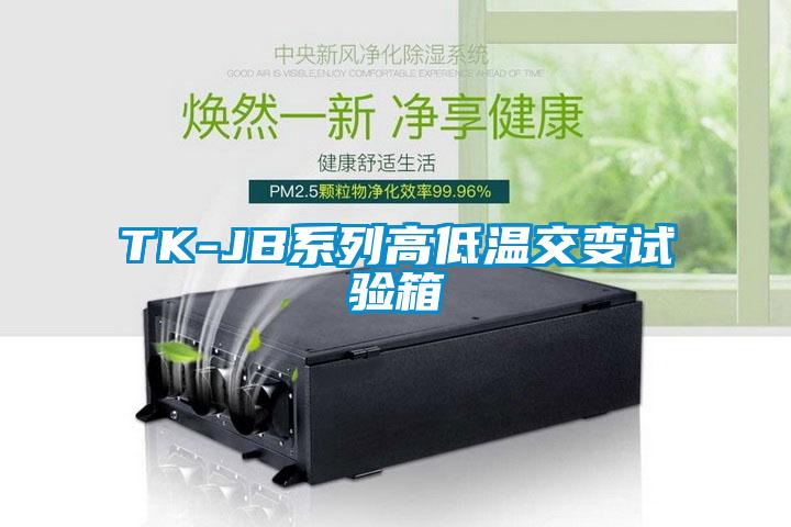 欧美黄色电影在线播放 TK-JB系列高低温交变试验箱