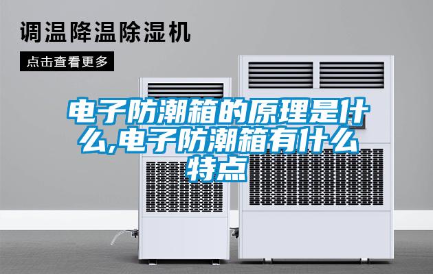 欧美黄色电影在线播放 电子防潮箱的原理是什么,电子防潮箱有什么特点