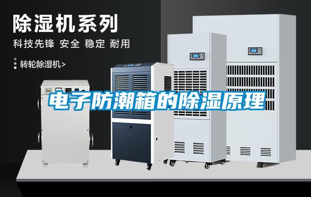 欧美成色手机在线观看 电子防潮箱的除湿原理
