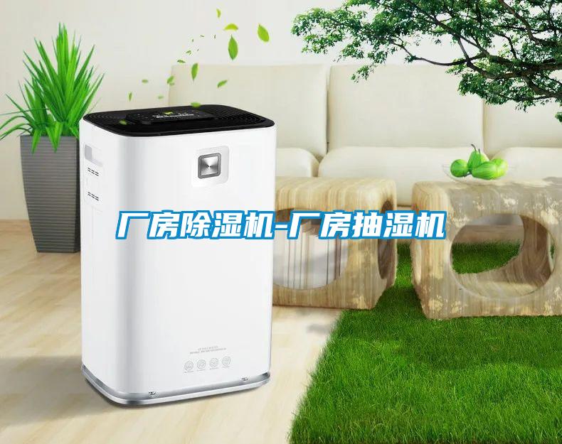 欧美黄色性爱视频网站 厂房除湿机-厂房抽湿机
