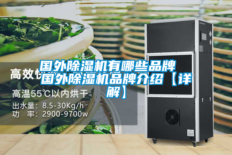 欧美黄色性爱视频网站 国外除湿机有哪些品牌  国外除湿机品牌介绍【详解】