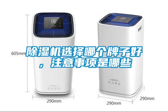 欧美黄色性爱视频网站 除湿机选择哪个牌子好，注意事项是哪些