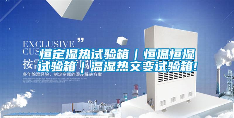 欧美黄色性爱视频网站 恒定湿热试验箱｜恒温恒湿试验箱｜温湿热交变试验箱!