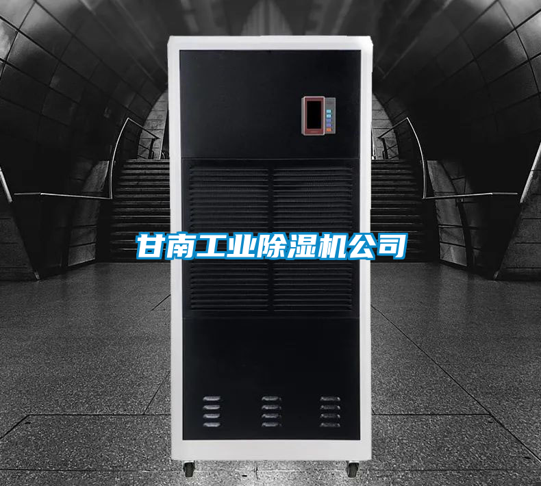 欧美黄色性爱视频网站 甘南工业除湿机公司