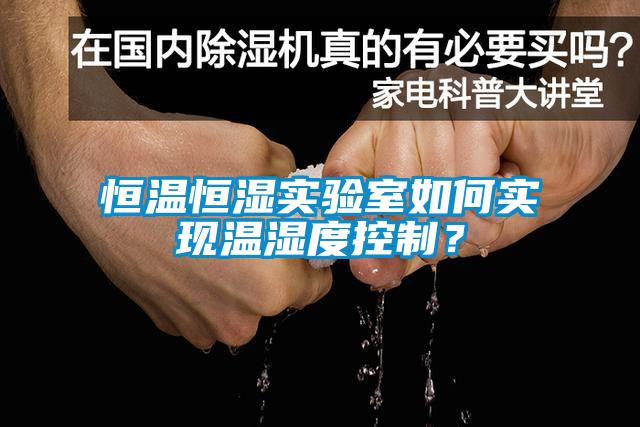 欧美成色手机在线观看 恒温恒湿实验室如何实现温湿度控制？