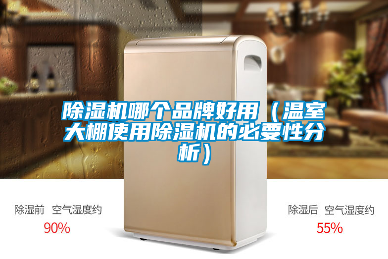 欧美黄色电影在线播放 除湿机哪个品牌好用（温室大棚使用除湿机的必要性分析）