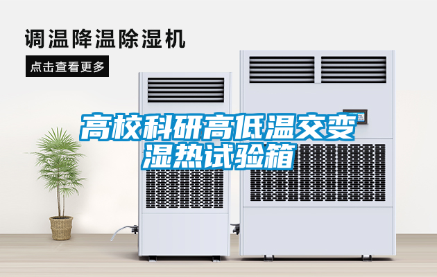 欧美黄色性爱视频网站 高校科研高低温交变湿热试验箱