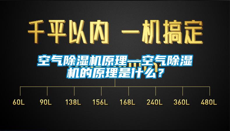 欧美成色手机在线观看 空气除湿机原理—空气除湿机的原理是什么？