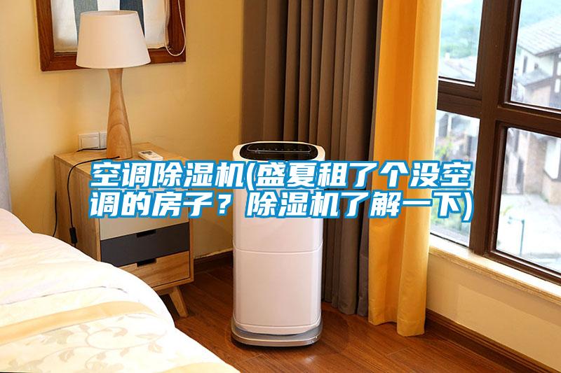 欧美成色手机在线观看 空调除湿机(盛夏租了个没空调的房子？除湿机了解一下)
