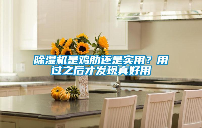 欧美黄色性爱视频网站 除湿机是鸡肋还是实用？用过之后才发现真好用