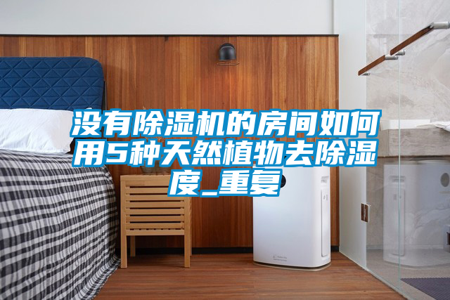 欧美黄色电影在线播放 没有除湿机的房间如何用5种天然植物去除湿度_重复