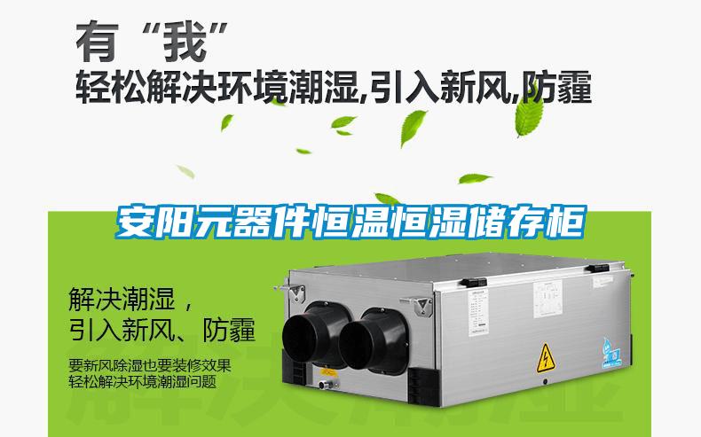 欧美黄色电影在线播放 安阳元器件恒温恒湿储存柜