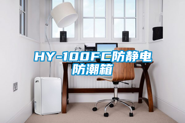 欧美黄色电影在线播放 HY-100FC防静电防潮箱