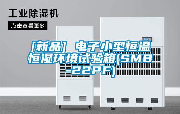 欧美黄色性爱视频网站 [新品] 电子小型恒温恒湿环境试验箱(SMB-22PF)