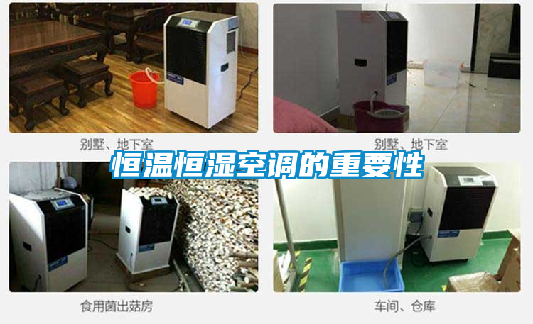 欧美黄色电影在线播放 恒温恒湿空调的重要性