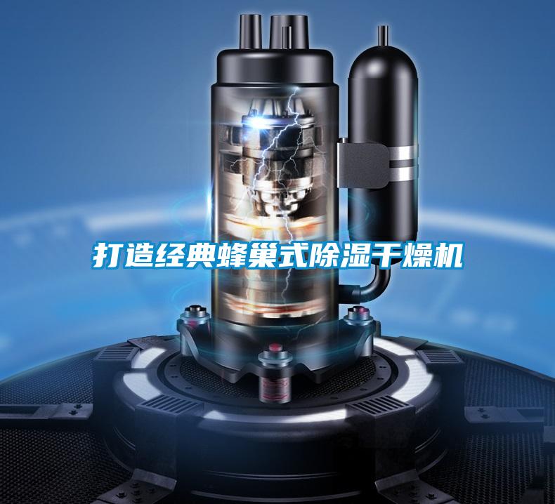 欧美黄色性爱视频网站 打造经典蜂巢式除湿干燥机