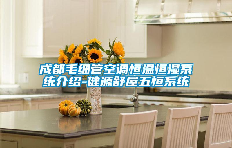欧美黄色性爱视频网站 成都毛细管空调恒温恒湿系统介绍-健源舒屋五恒系统