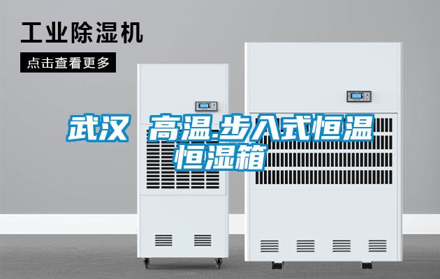 欧美成色手机在线观看 武汉 高温.步入式恒温恒湿箱