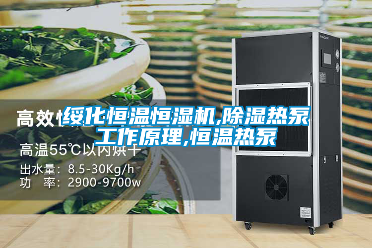 欧美黄色电影在线播放 绥化恒温恒湿机,除湿热泵工作原理,恒温热泵