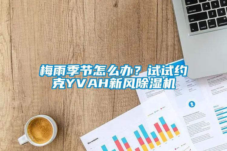 欧美黄色性爱视频网站 梅雨季节怎么办？试试约克YVAH新风除湿机