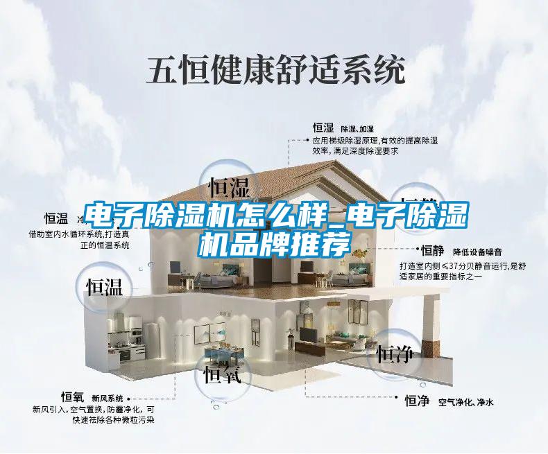欧美黄色性爱视频网站 电子除湿机怎么样_电子除湿机品牌推荐