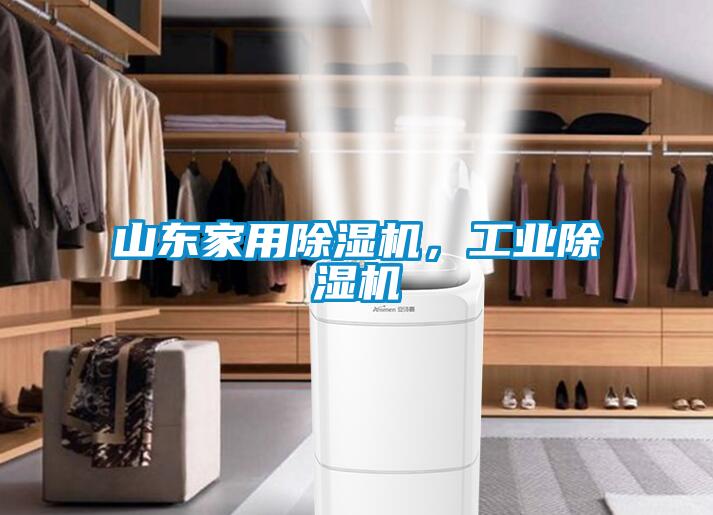 欧美黄色性爱视频网站 山东家用除湿机，工业除湿机